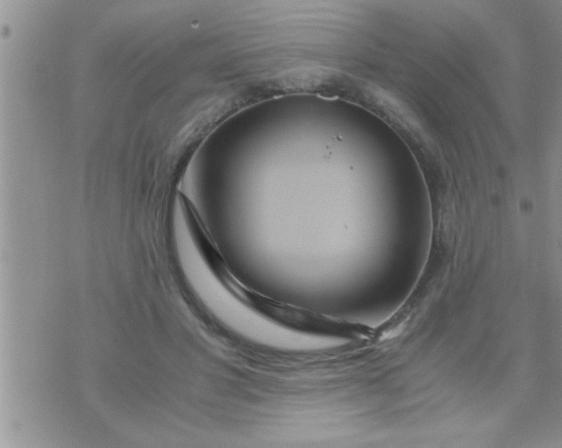 X0000071380501200607142114