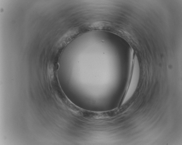 X0000071380504200607142114