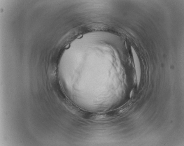 X0000071380507200607142114