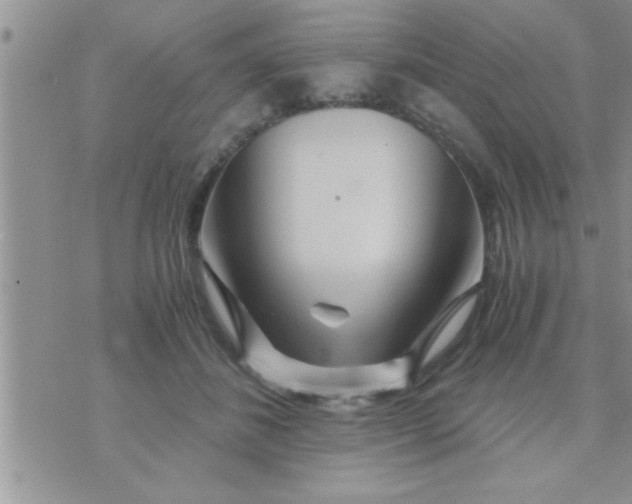 X0000071380508200607142114