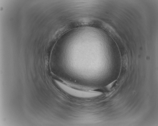 X0000071380509200607142114