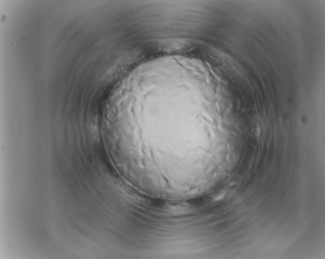 X0000071380510200607142114