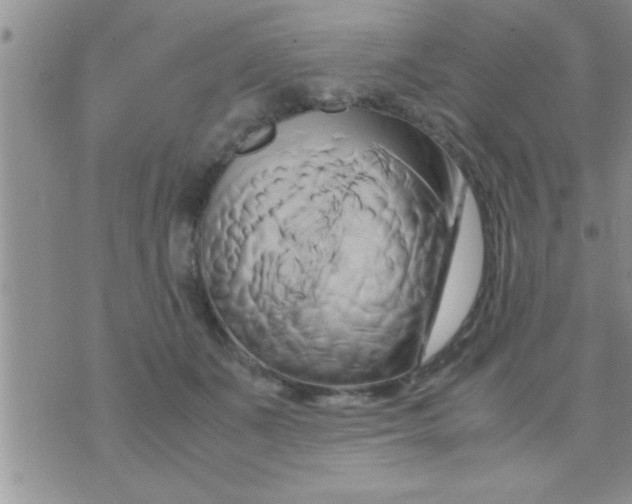 X0000071380511200607142114