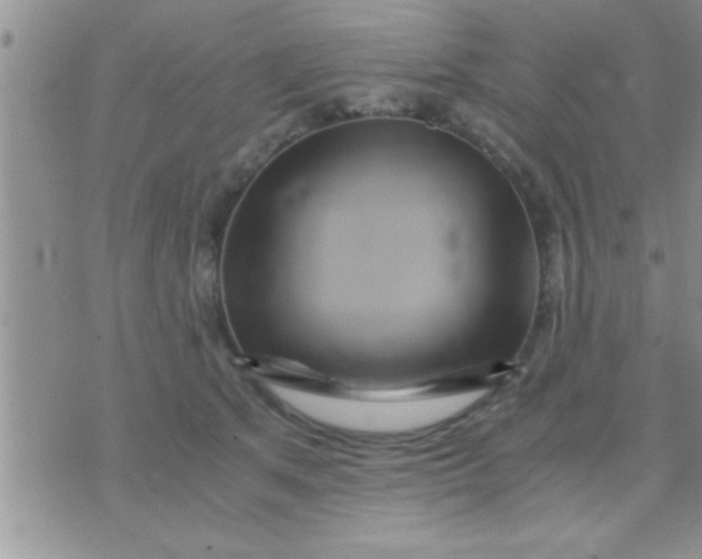 X0000071380513200607142114