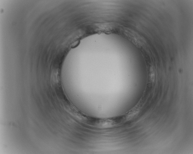 X0000071380514200607142114