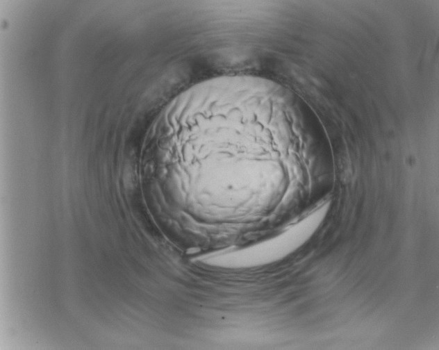 X0000071380515200607142114