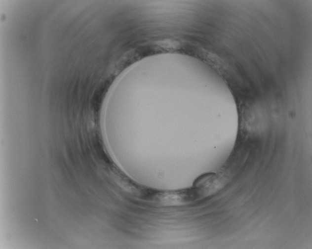 X0000071380518200607142114