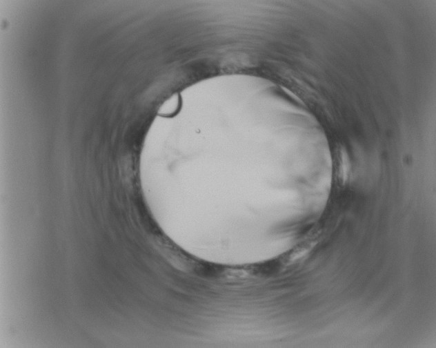 X0000071380519200607142114