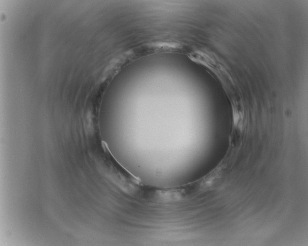 X0000071380520200607142114