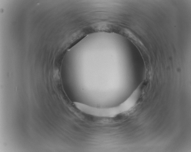 X0000071380521200607142114