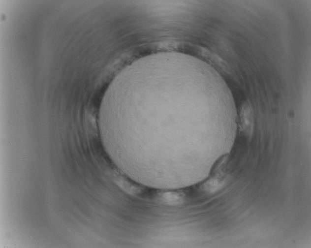 X0000071380522200607142113