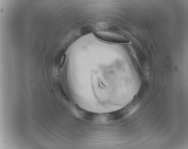 X0000071380523200607142113