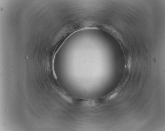 X0000071380524200607142113