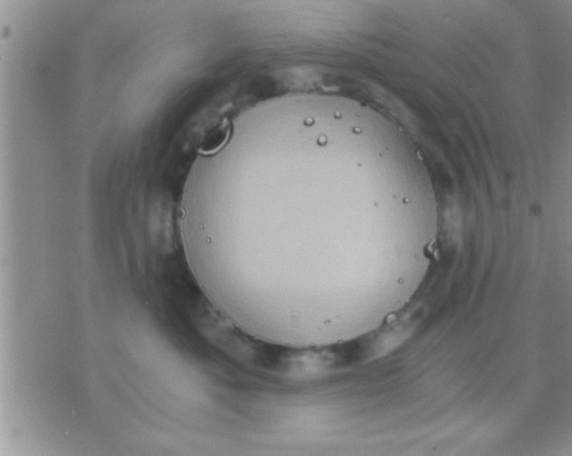 X0000071380525200607142113