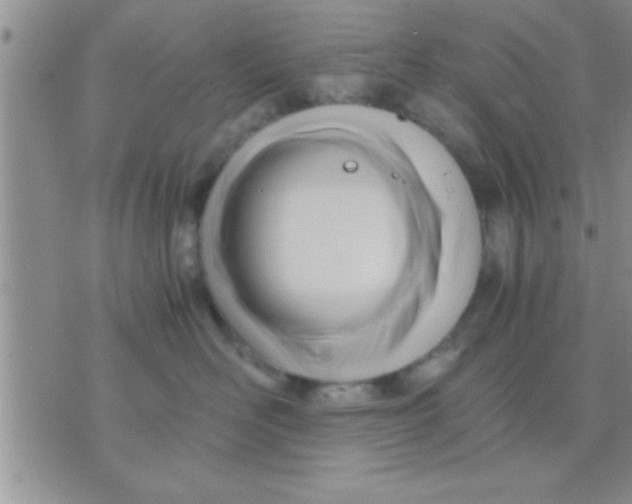 X0000071380526200607142113