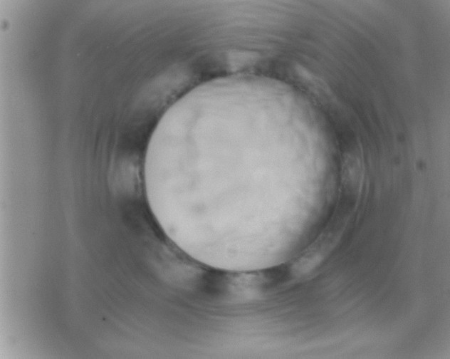 X0000071380527200607142113