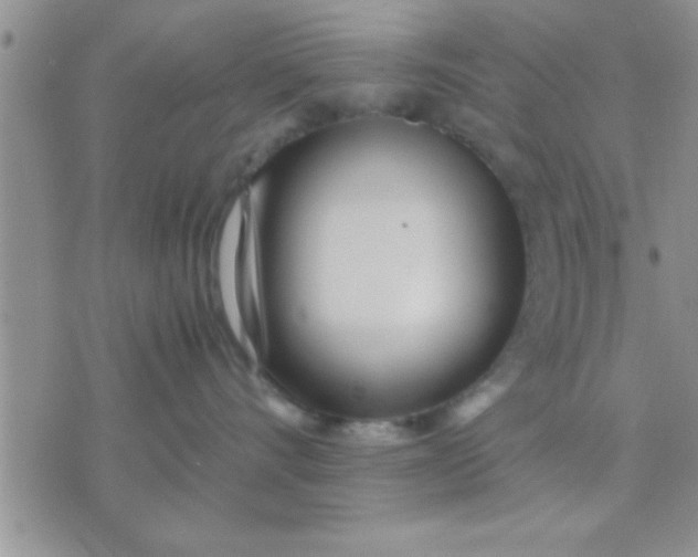 X0000071380528200607142113