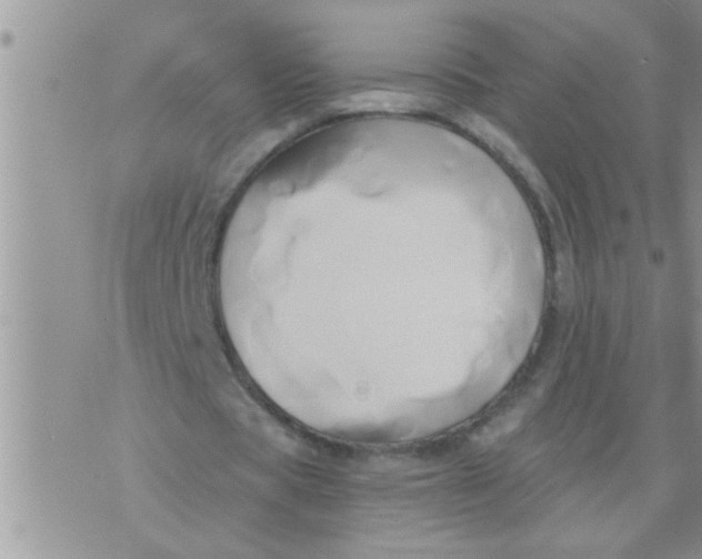 X0000071380529200607142113