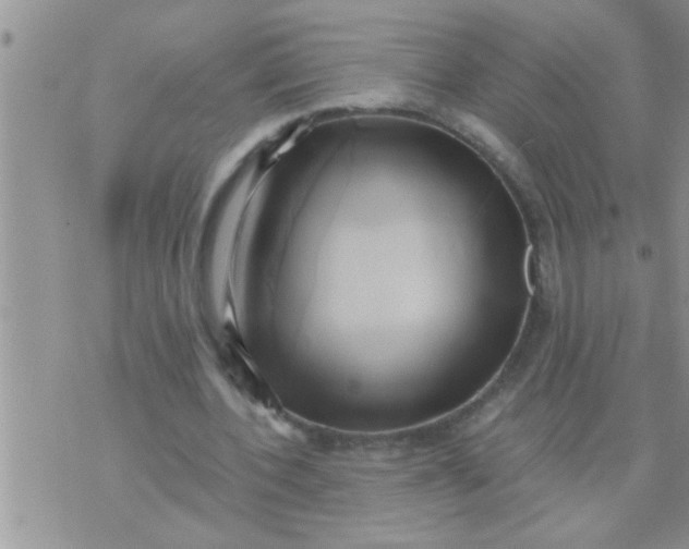 X0000071380532200607142113