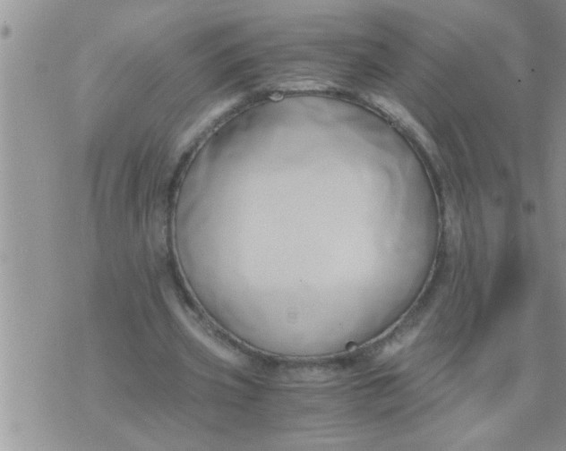 X0000071380533200607142113