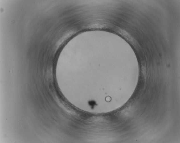 X0000071380534200607142113