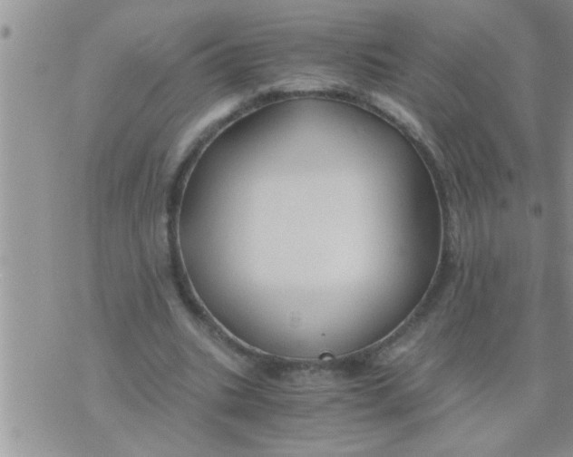 X0000071380535200607142113