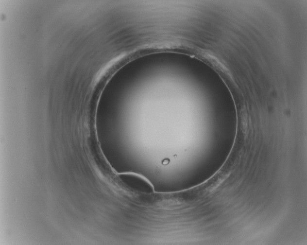 X0000071380536200607142113