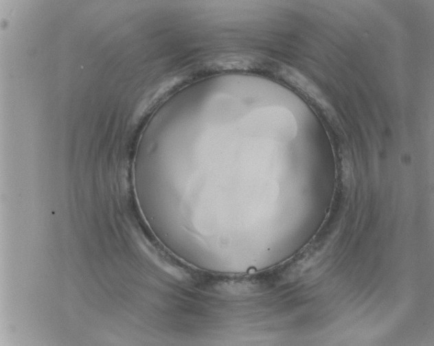 X0000071380537200607142113