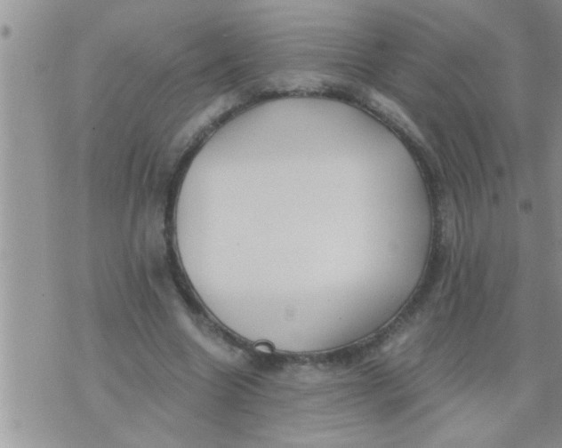 X0000071380538200607142113