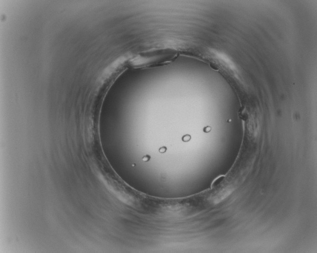 X0000071380540200607142113