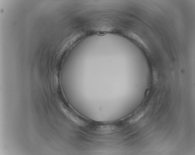 X0000071380541200607142113