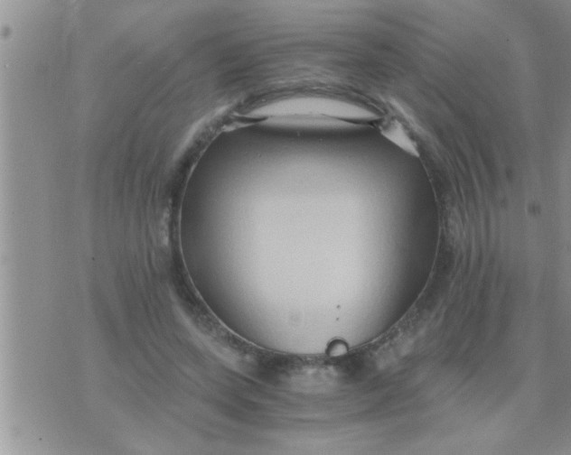 X0000071380543200607142113