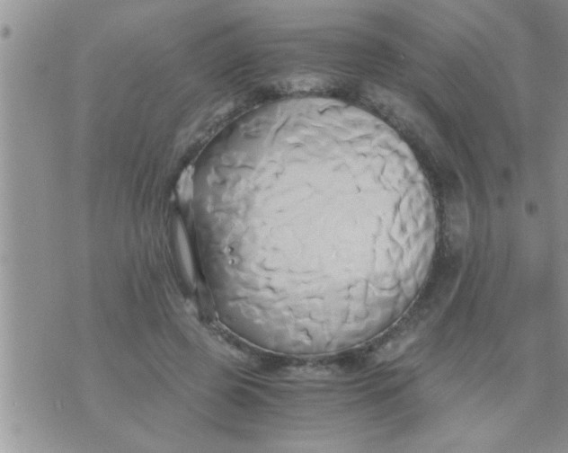 X0000071380545200607142113