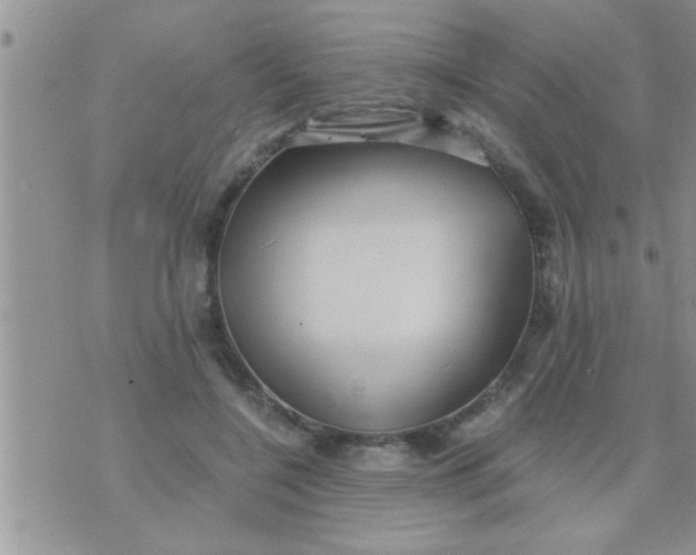 X0000071380548200607142113