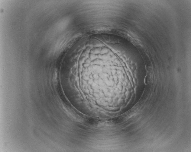 X0000071380550200607142113