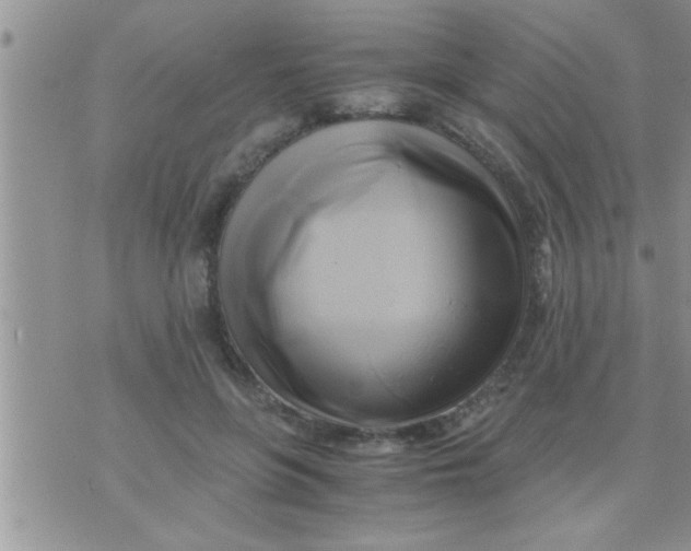 X0000071380551200607142113