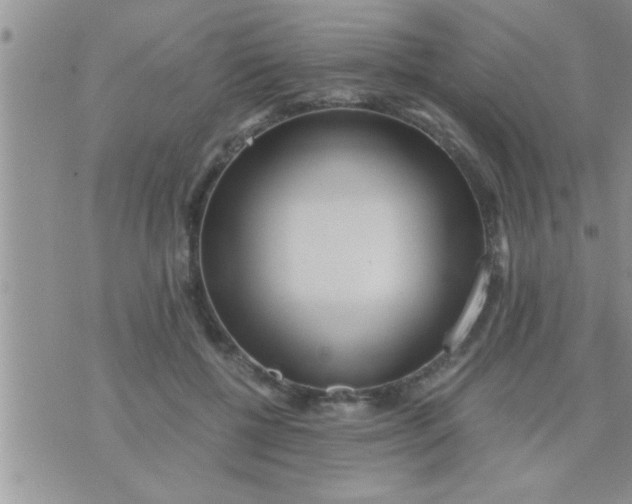 X0000071380552200607142113