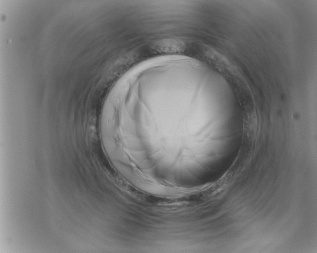 X0000071380553200607142113