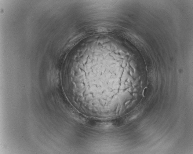 X0000071380554200607142113