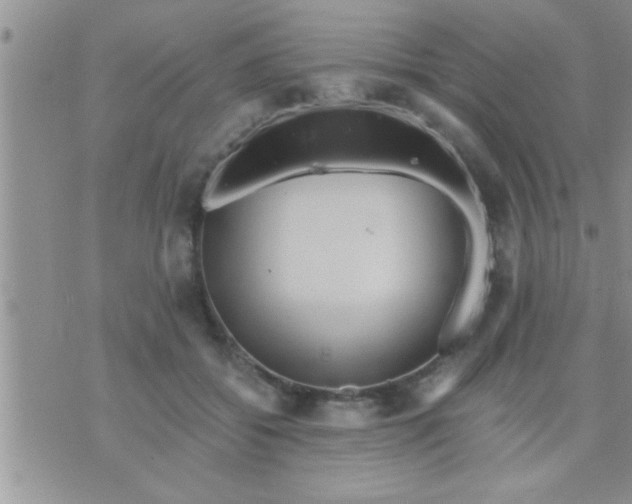 X0000071380556200607142113