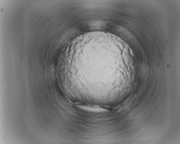 X0000071380557200607142113