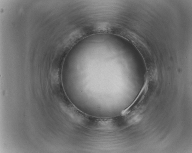 X0000071380560200607142113