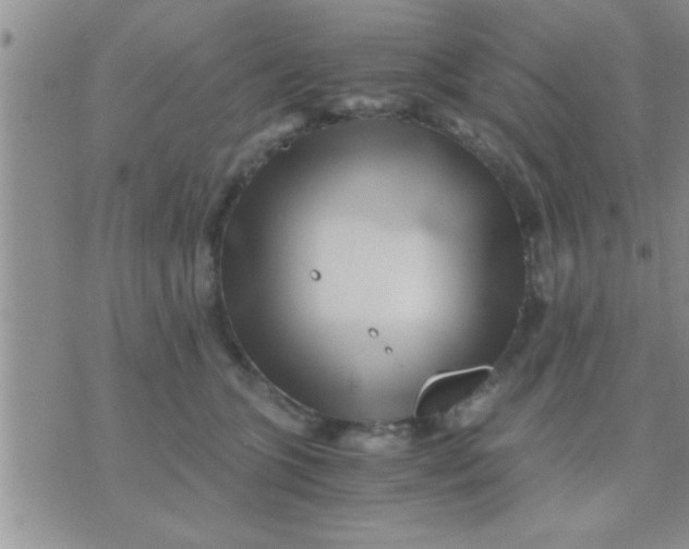 X0000071380563200607142113