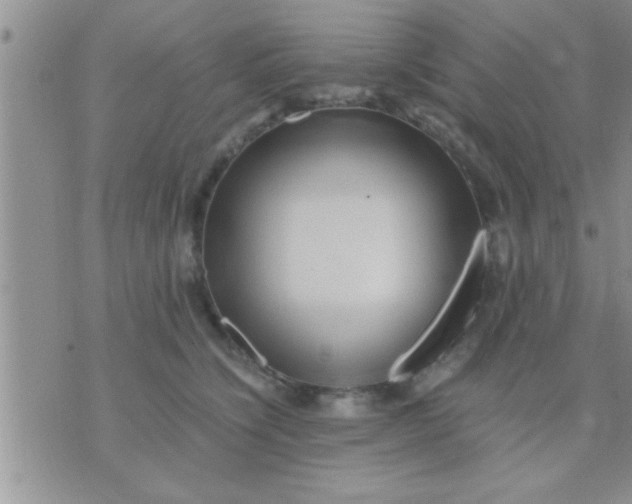 X0000071380564200607142113