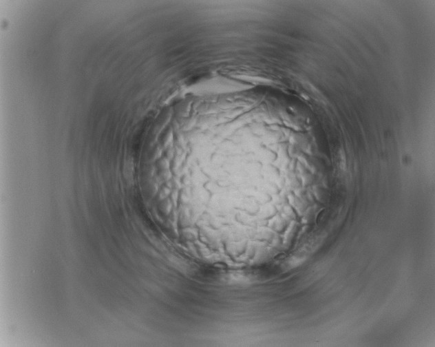 X0000071380565200607142113