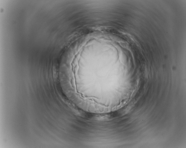 X0000071380569200607142113