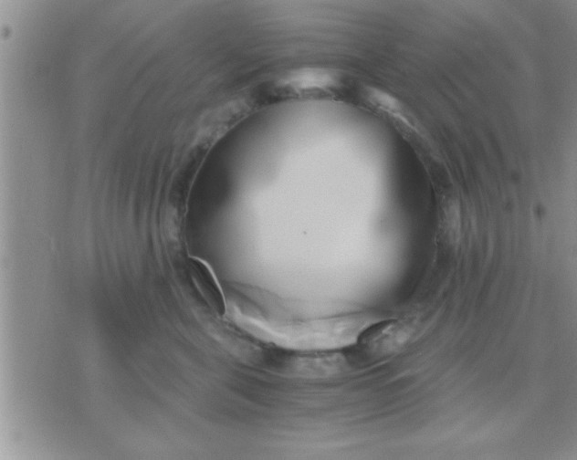 X0000071380571200607142113