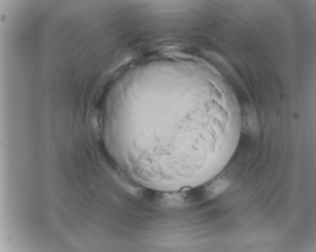 X0000071380573200607142113