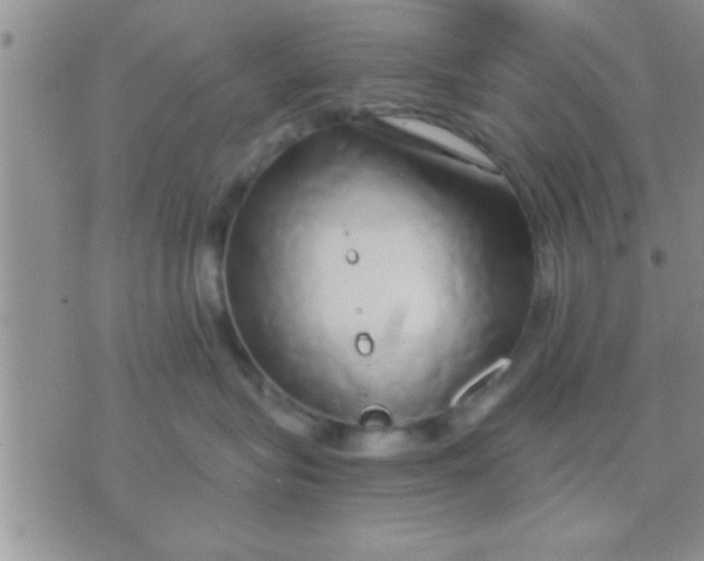 X0000071380575200607142113