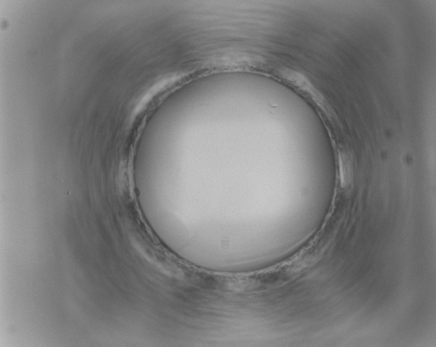 X0000071380579200607142113